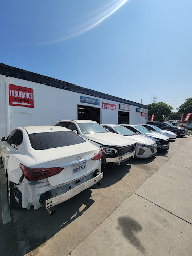 Duxov Auto Body Shop