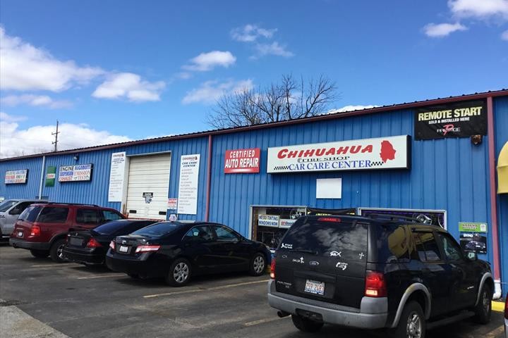 Chihuahua Tire Shop