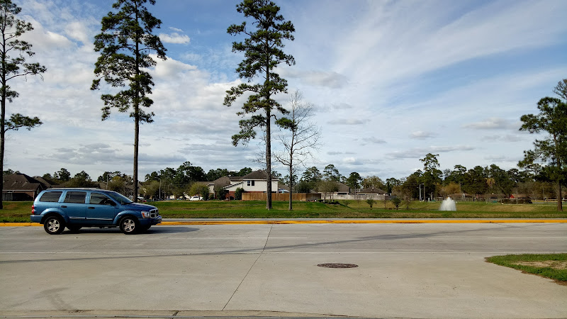 Spring Auto Service LLC