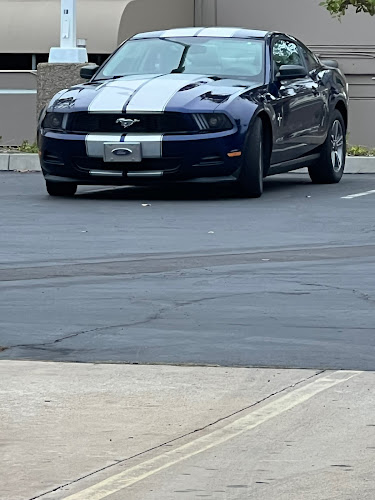 7 Day Auto Body
