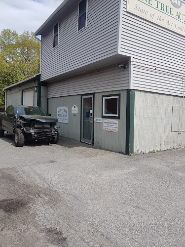 Pine Tree Auto Body